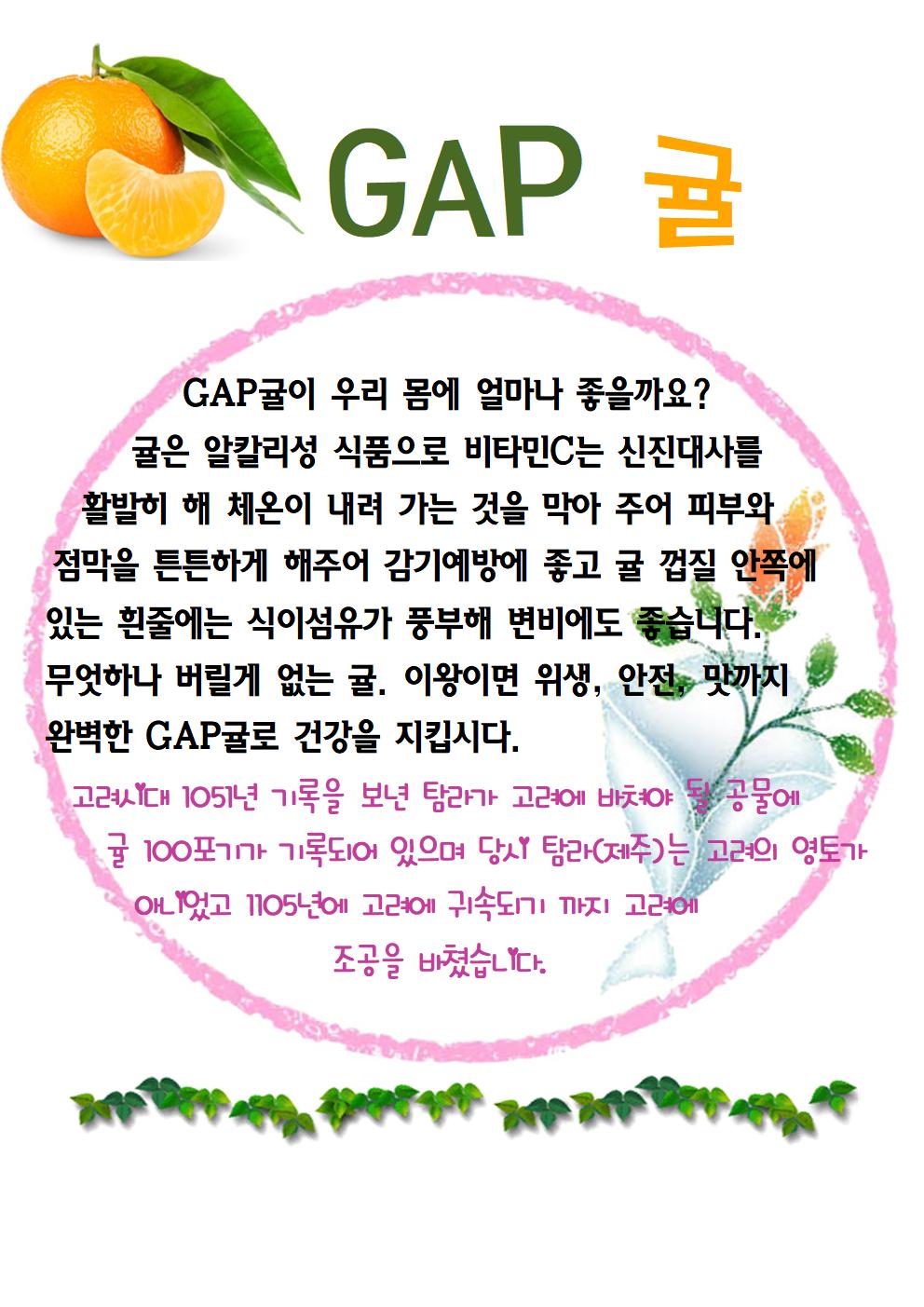 귤(11.18)001