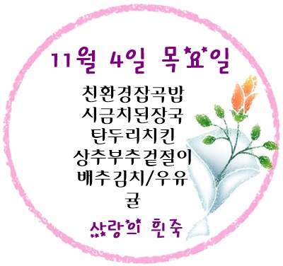 11월 4일 메뉴