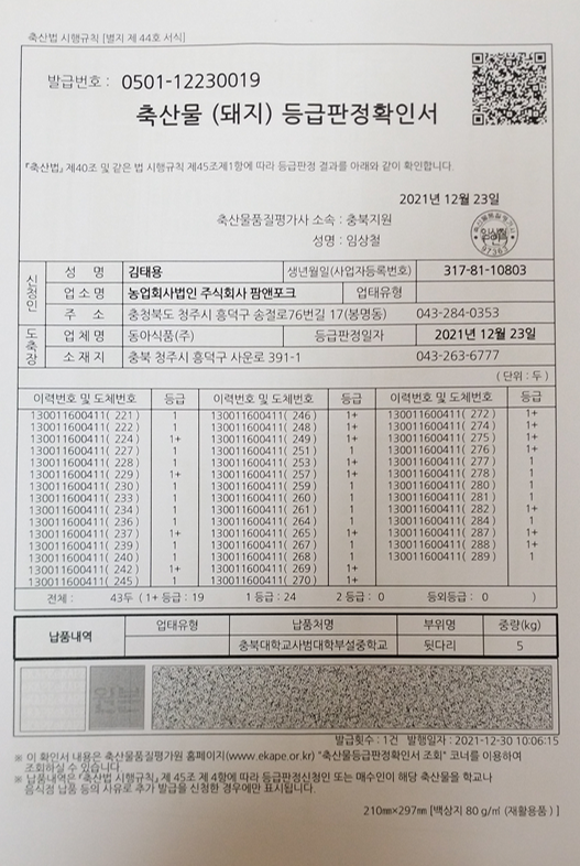 등판