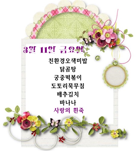 3월 11일 식단명