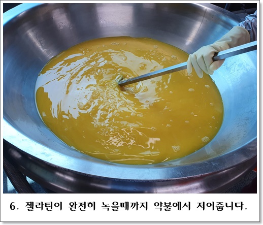 감귤푸딩6