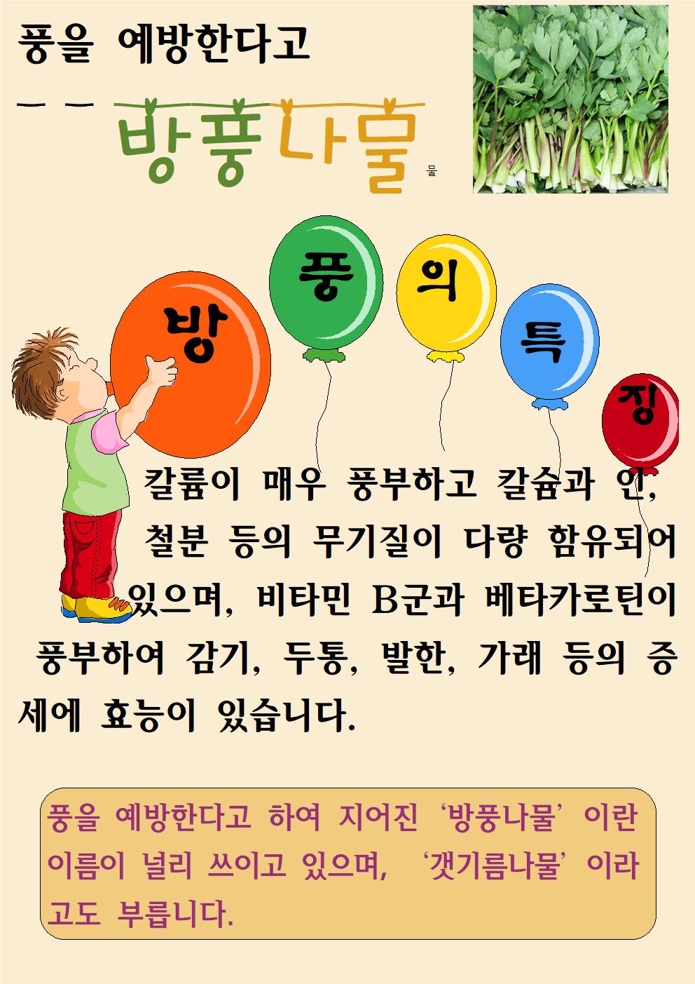 방풍나물(4.28)001