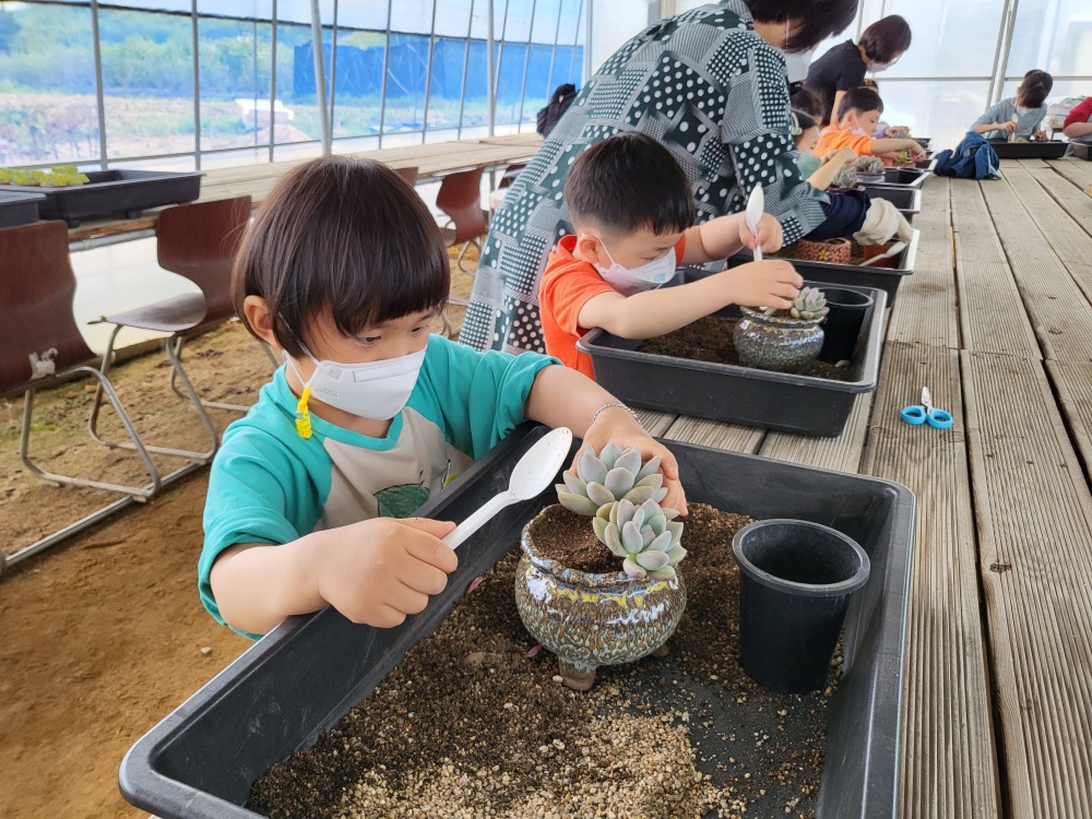 다육이 화분 만들기(유)