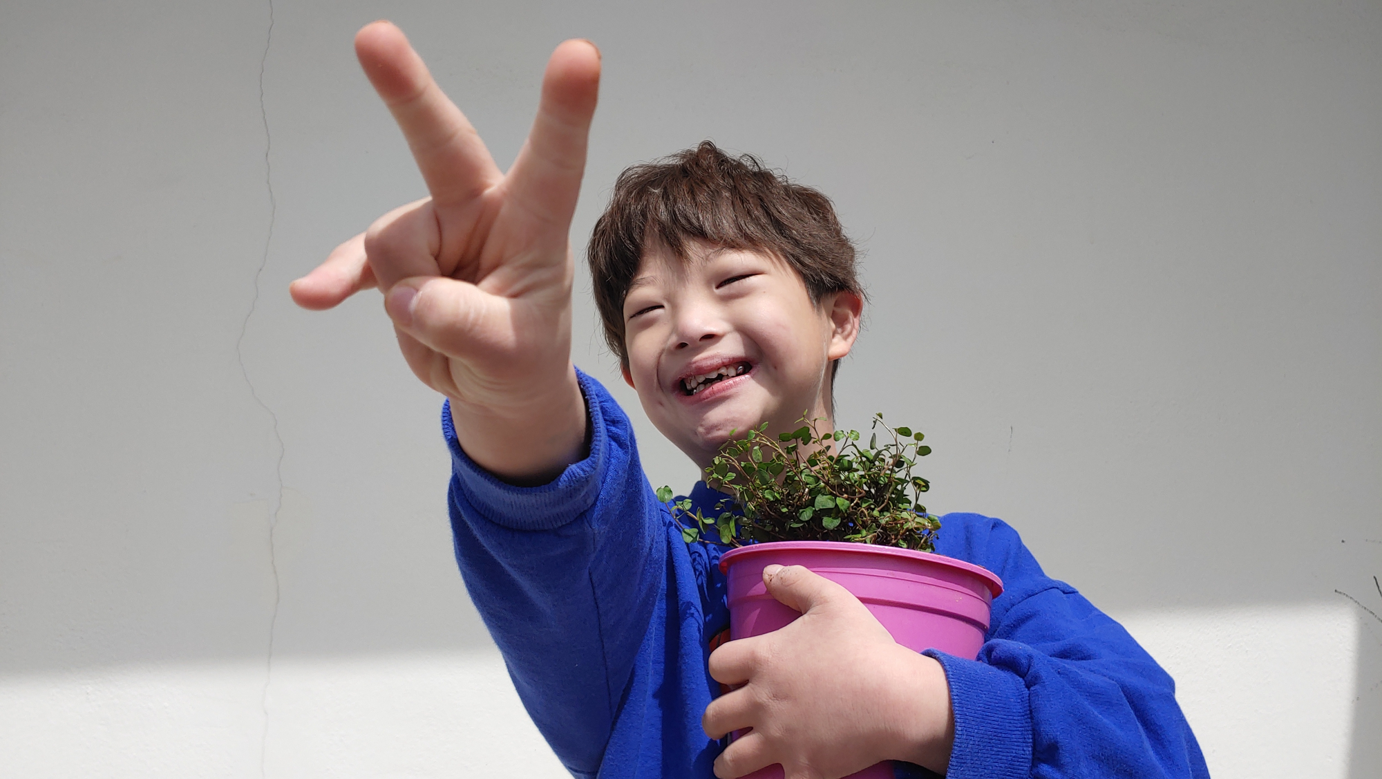 예준이가 화분을 한손을 들고 브이 자를 하고 있어요