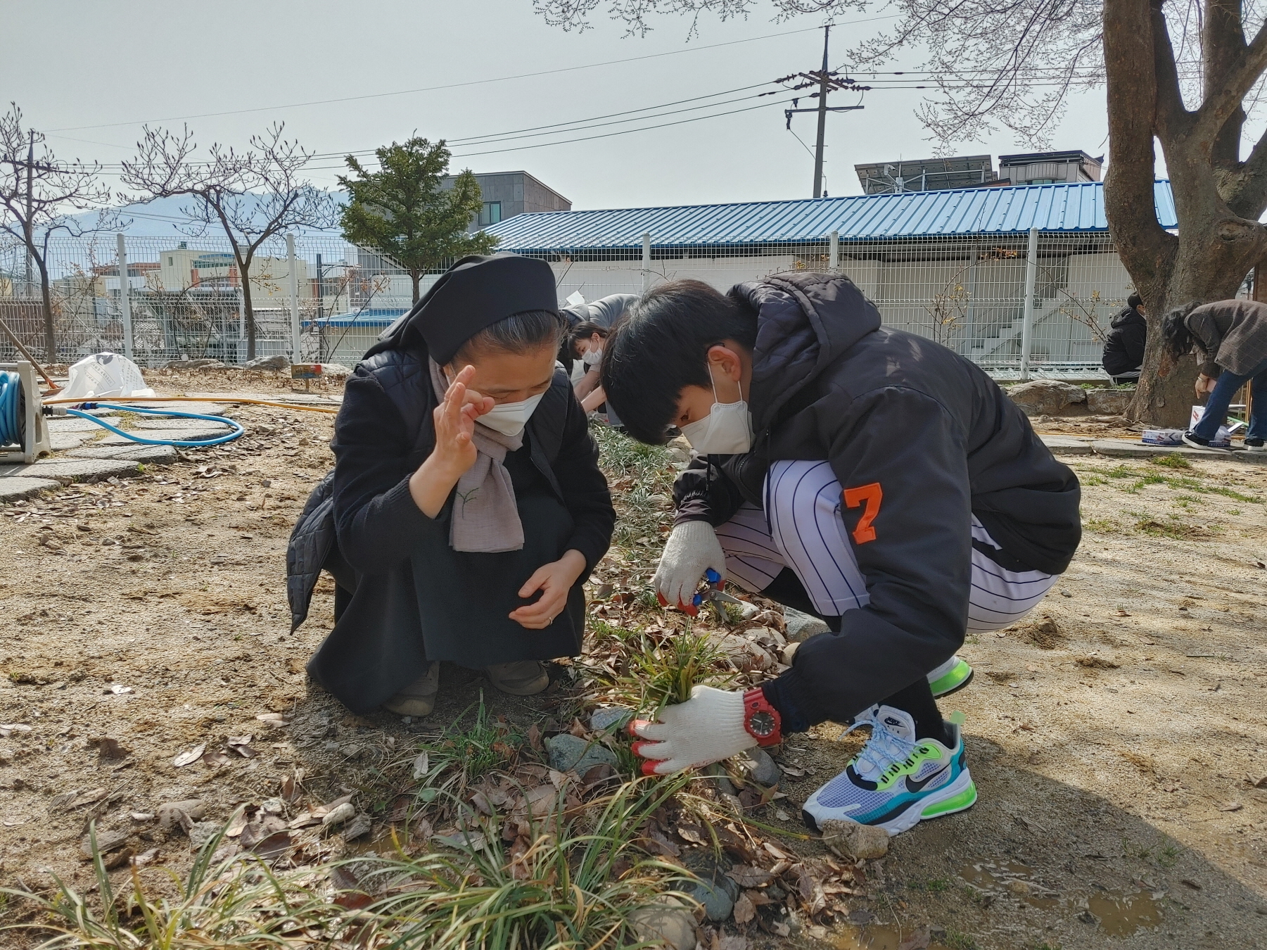 [크기변환]교장수녀님의맥문동 이발 개인지도