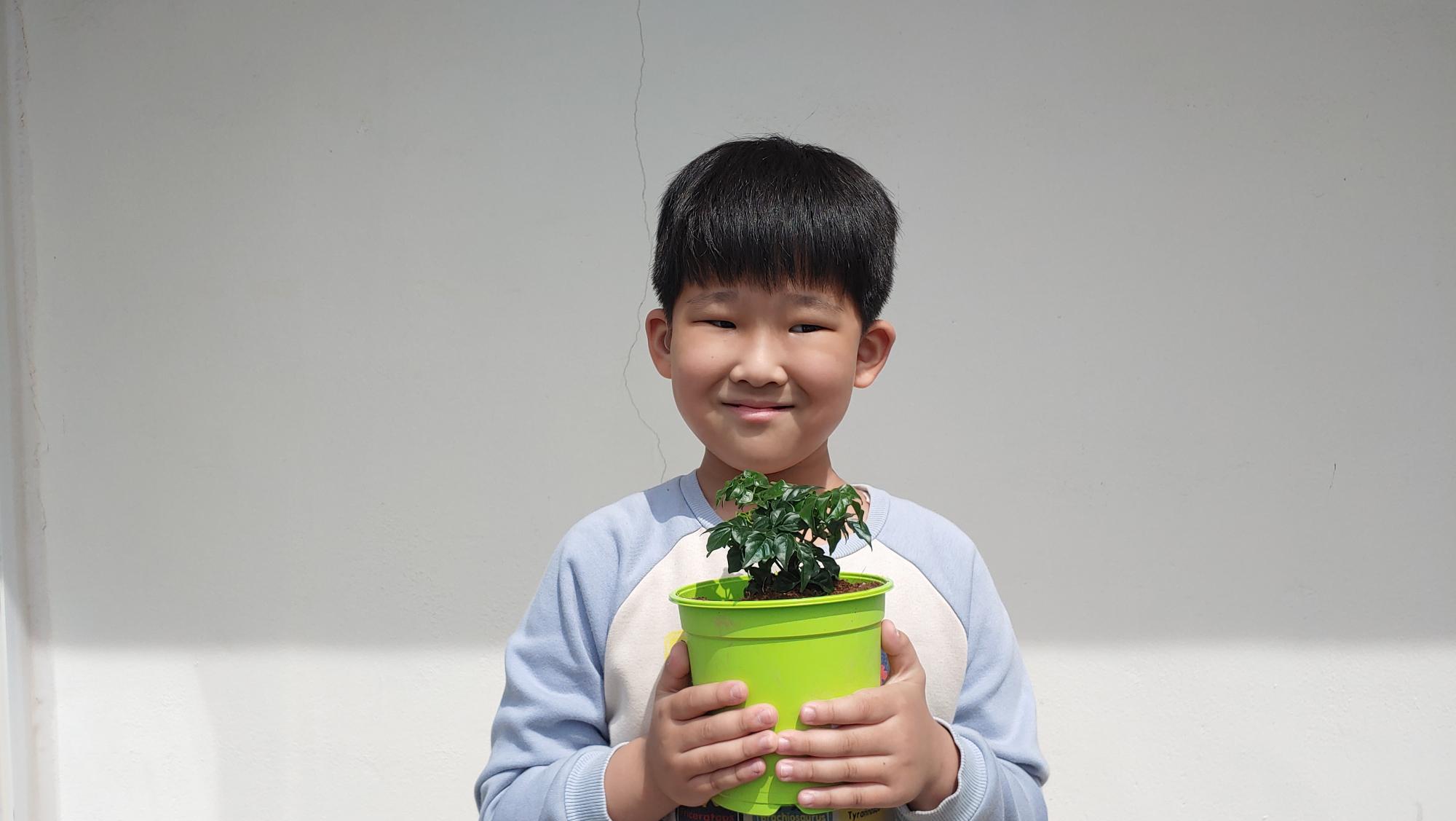 우리가 녹색실물 화분을 들고 서 있어요