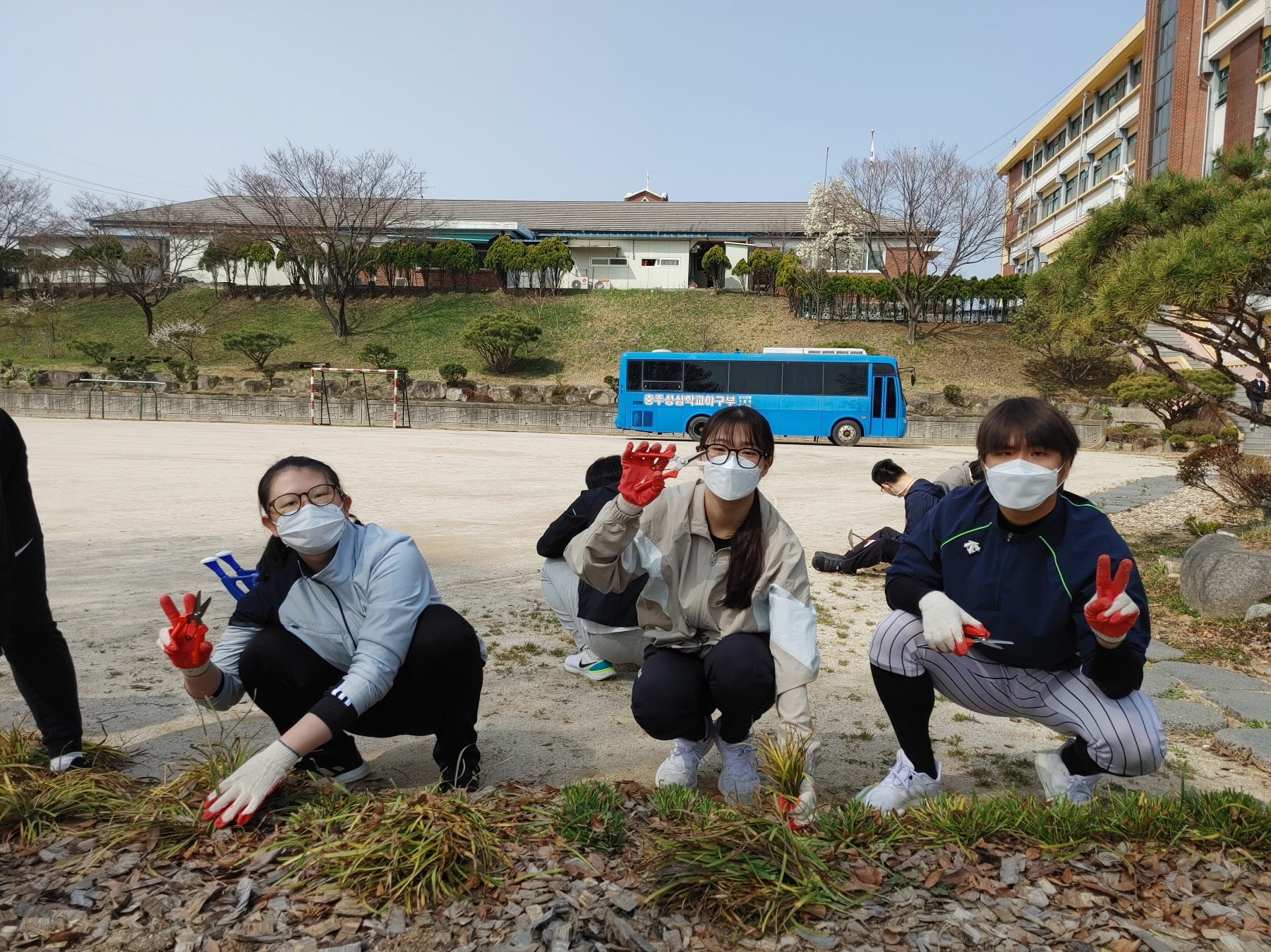 [크기변환]맥문동이발사