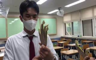 대표이미지.jpg