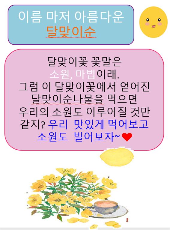 달맞이순(5.12)