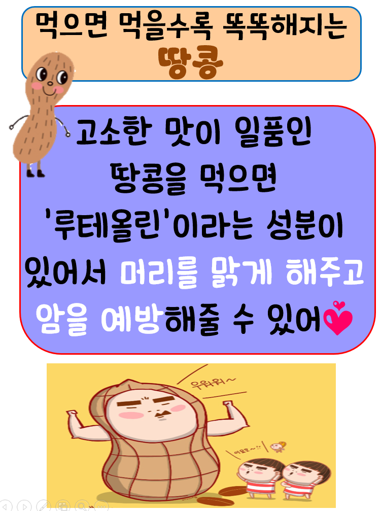 땅콩(5.20)