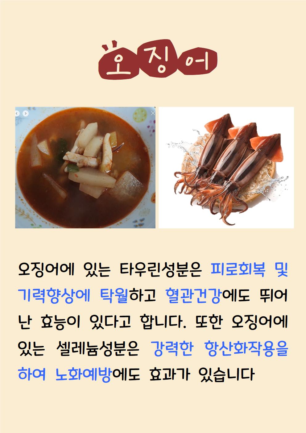 오징어(5.26)001
