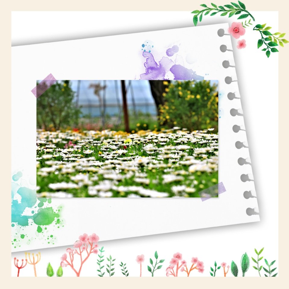 KakaoTalk_20220523_183701229