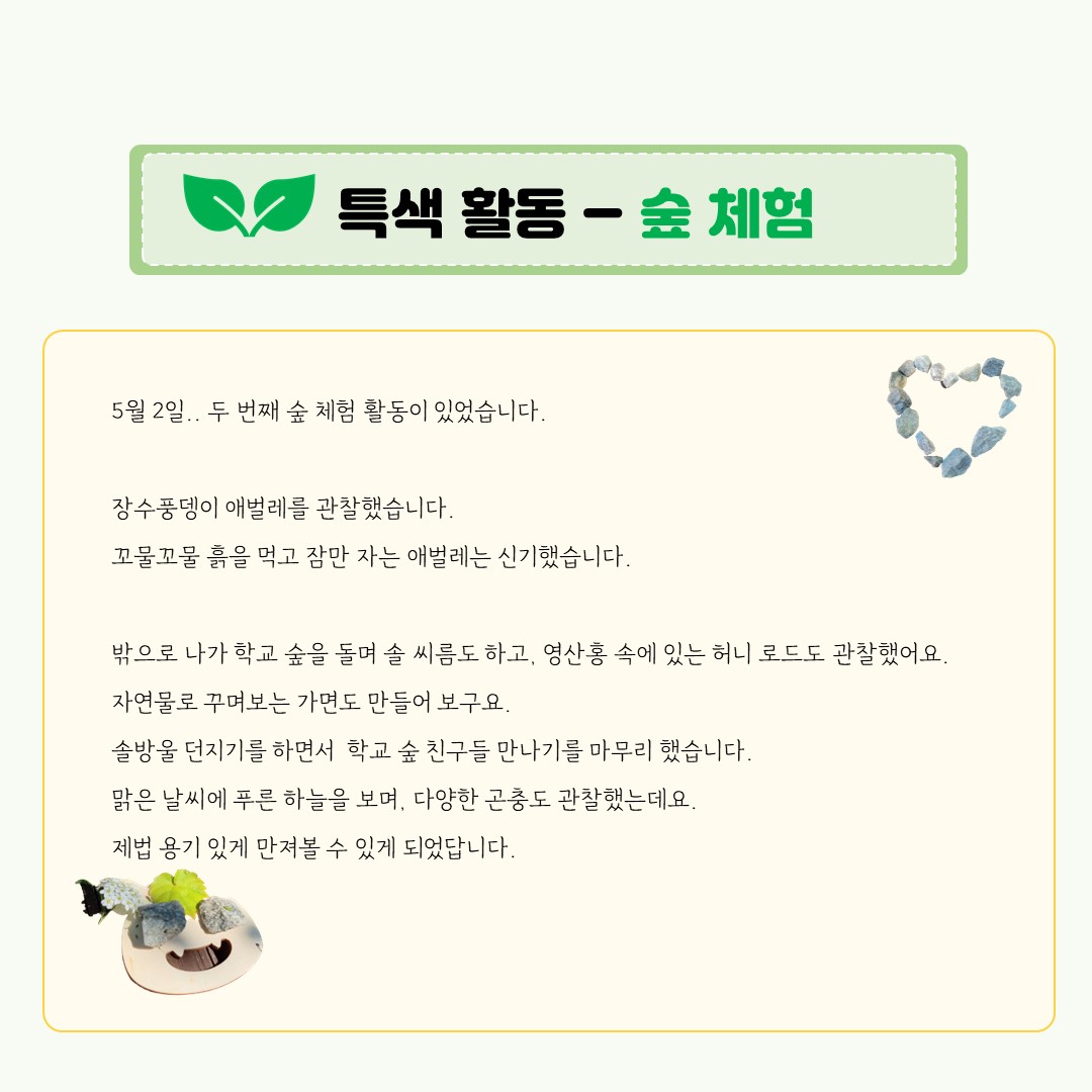 5월 숲체험