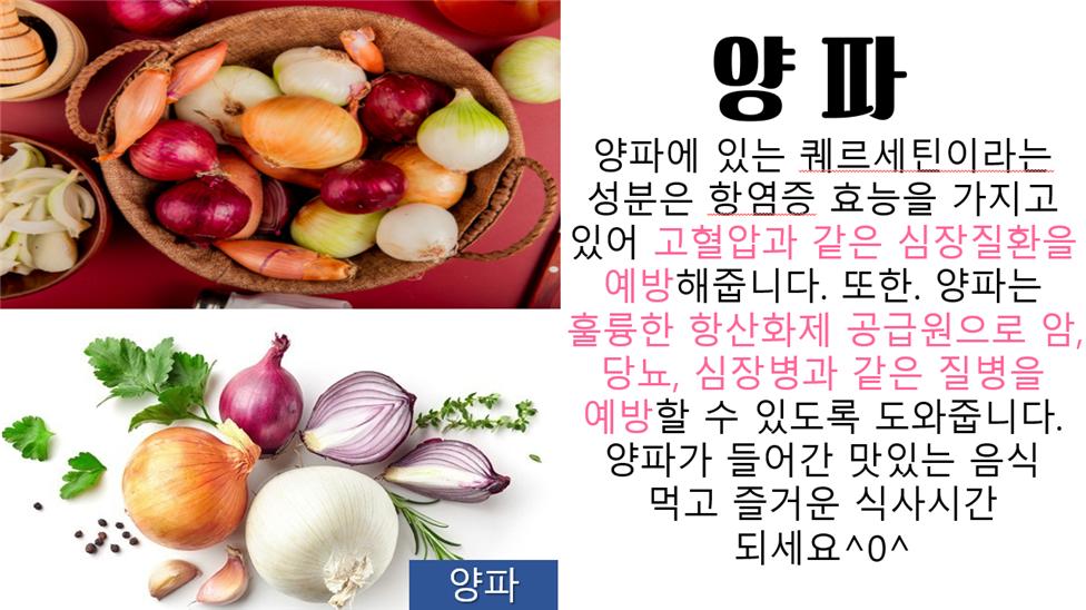 양파(6.20)