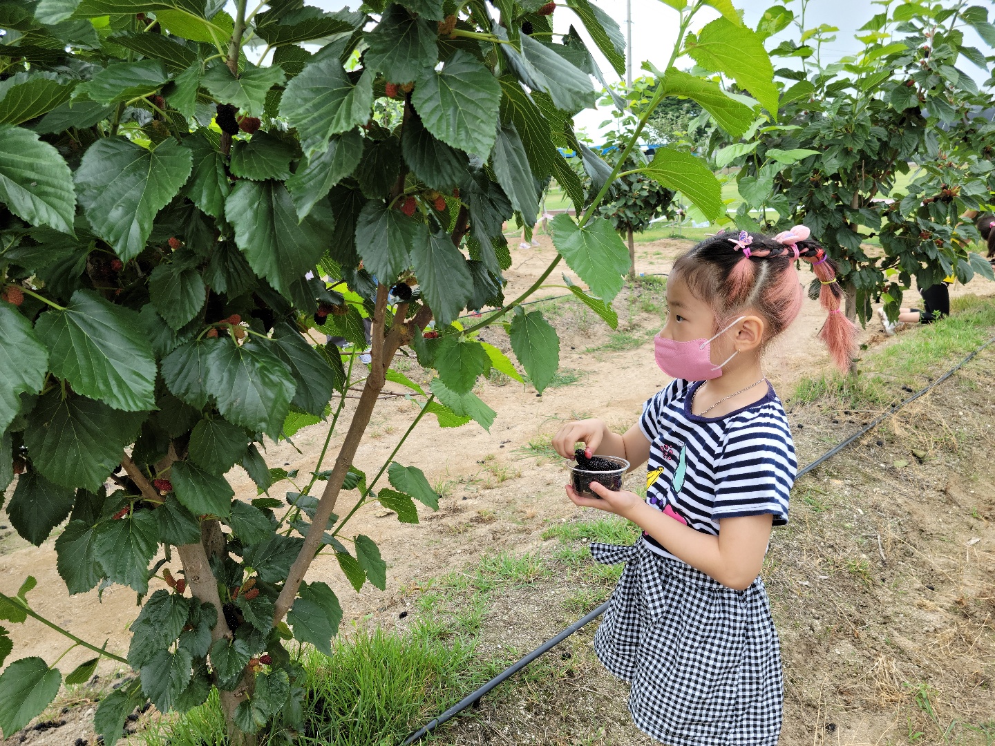 1학년 아웃도어 체험활동 (20)