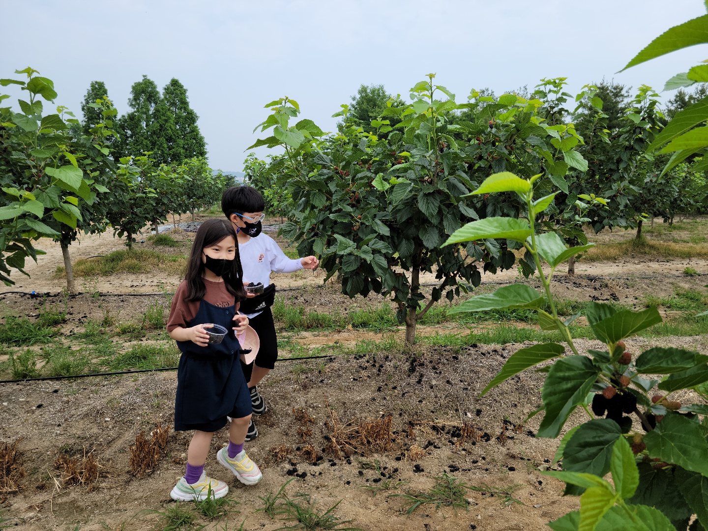 1학년 아웃도어 체험활동 (28)