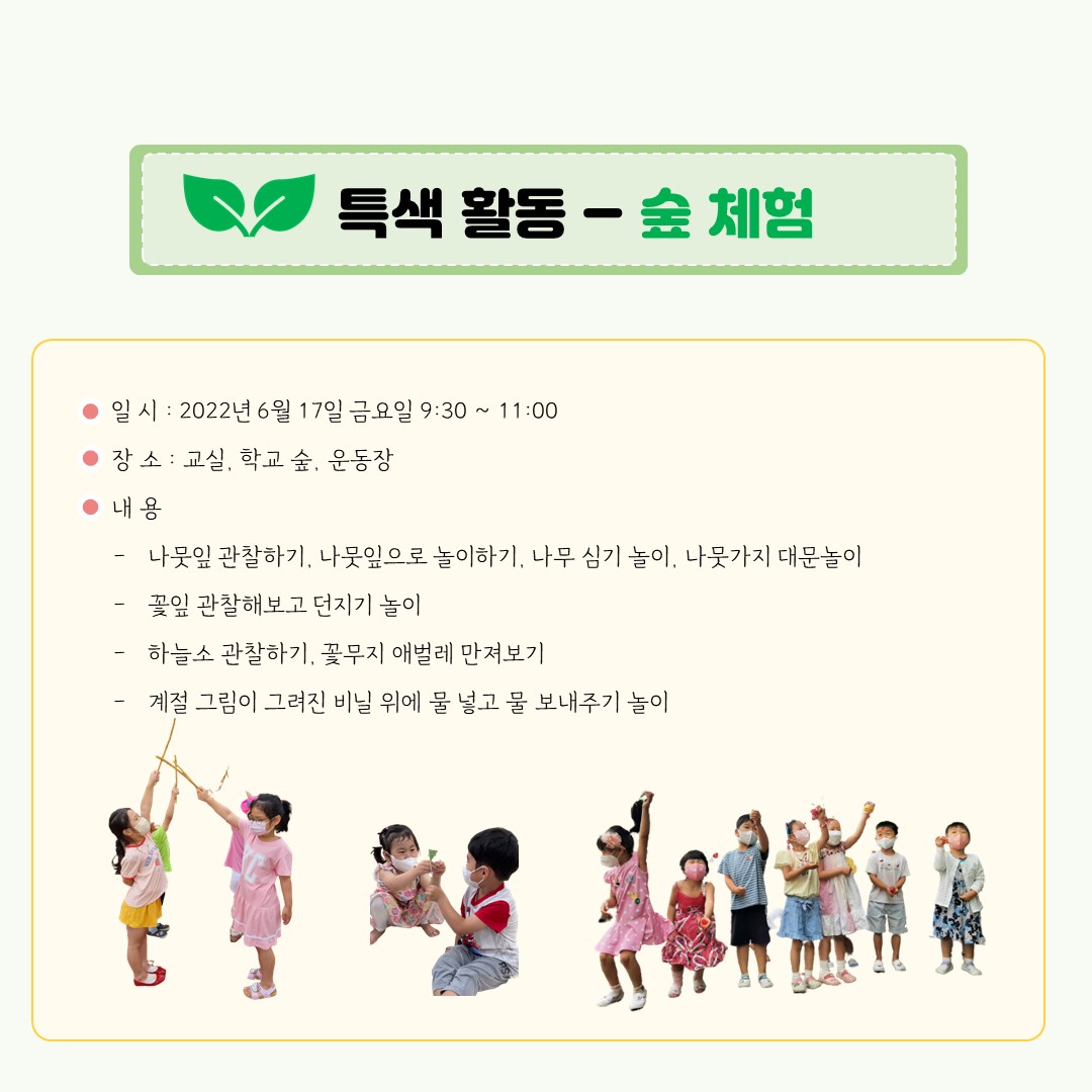 6월 숲체험