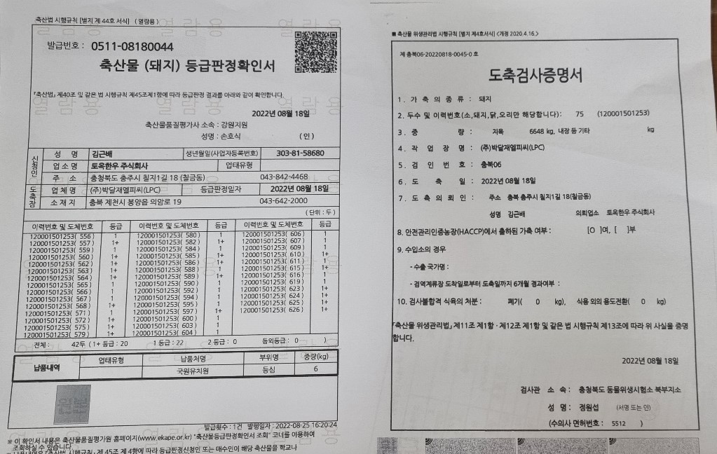 KakaoTalk_20220826_141210674