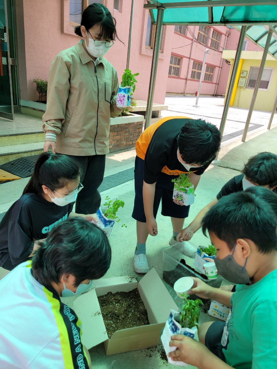 [학부모] 2022 주덕초등학교 5-1-6.8 리사이클링 화분 만들기-42125432082