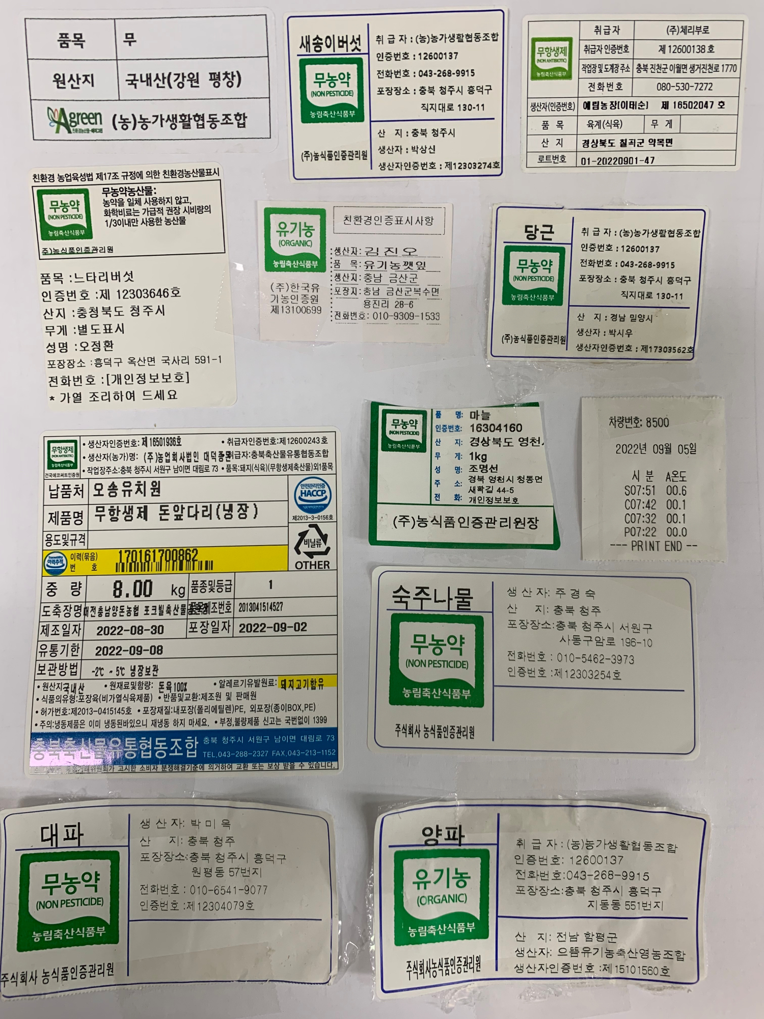 KakaoTalk_20220905_111124324