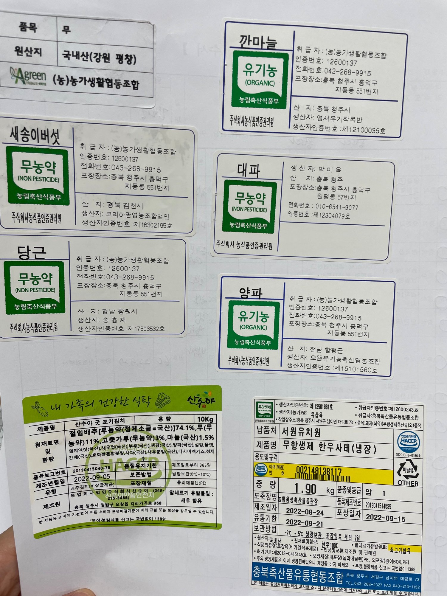 KakaoTalk_20220916_130427400_01