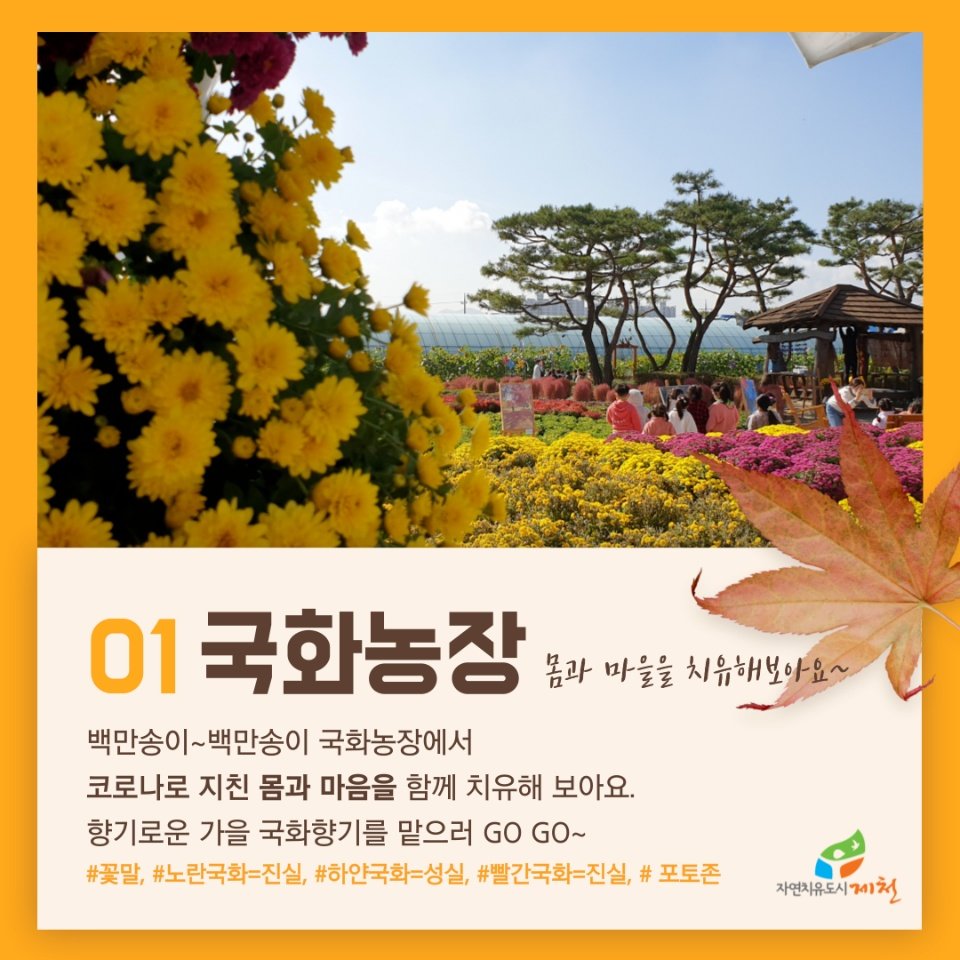 KakaoTalk_20221012_153126020_03