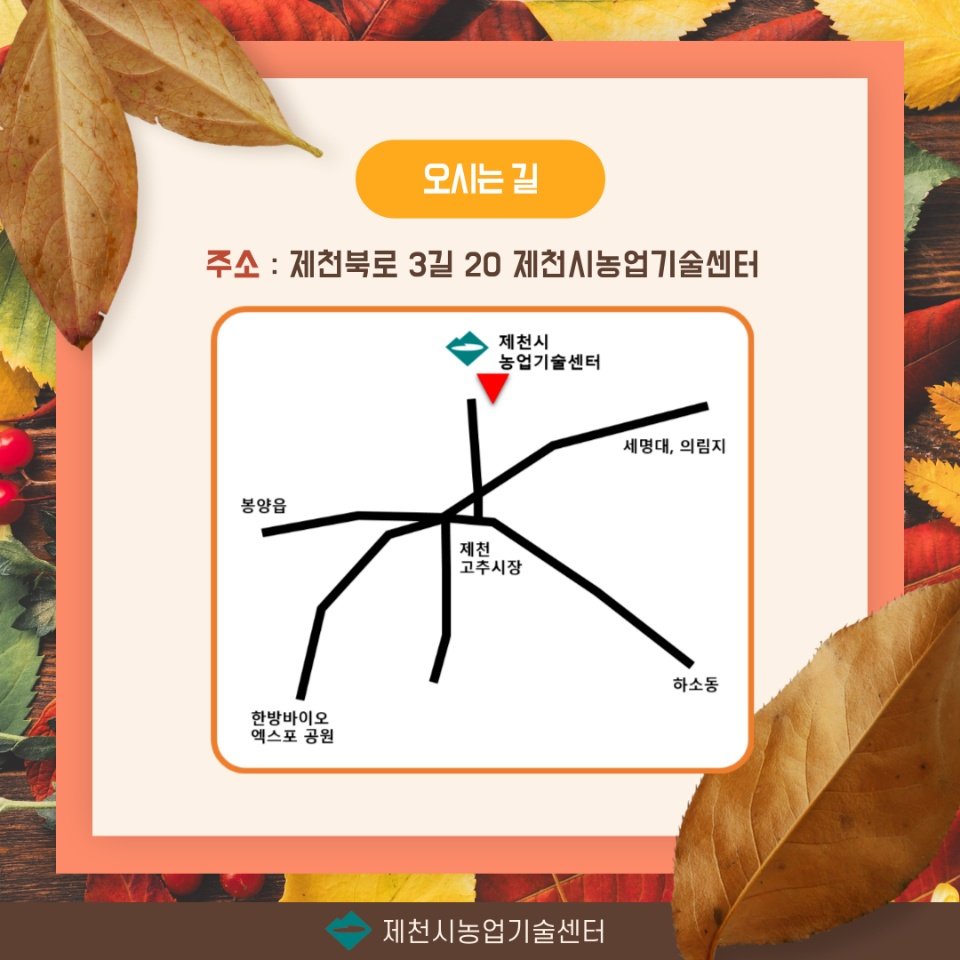 KakaoTalk_20221012_153126020