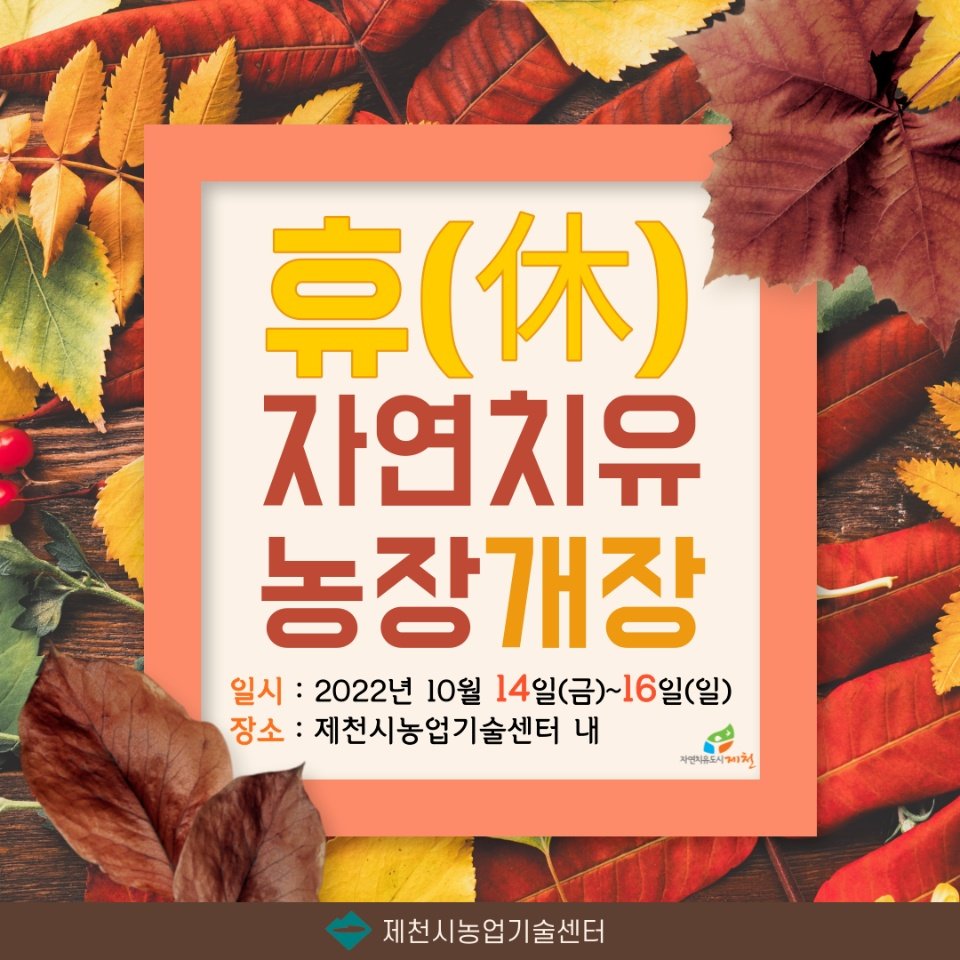 KakaoTalk_20221012_153126020_04