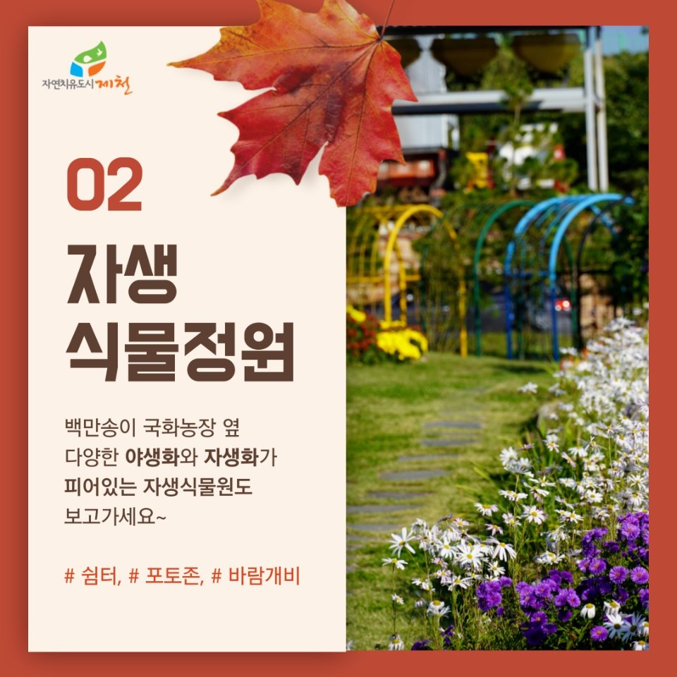 KakaoTalk_20221012_153126020_02