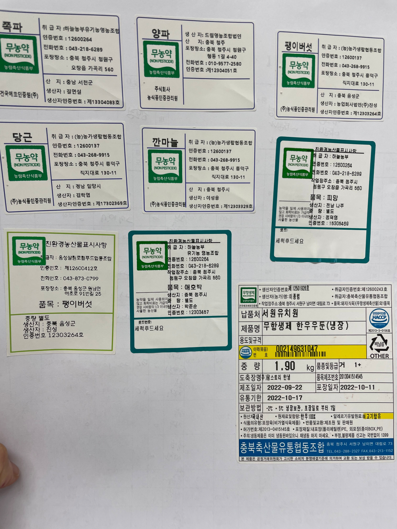 KakaoTalk_20221012_131341407_01