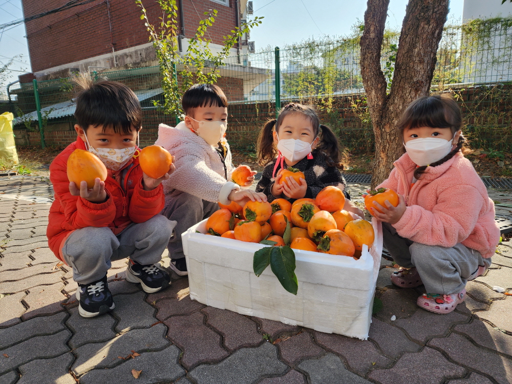 [크기변환]감따기(7).jpg