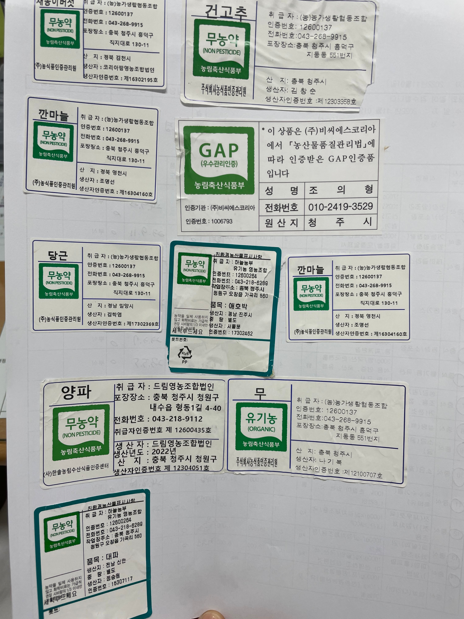 KakaoTalk_20221101_111145897_01