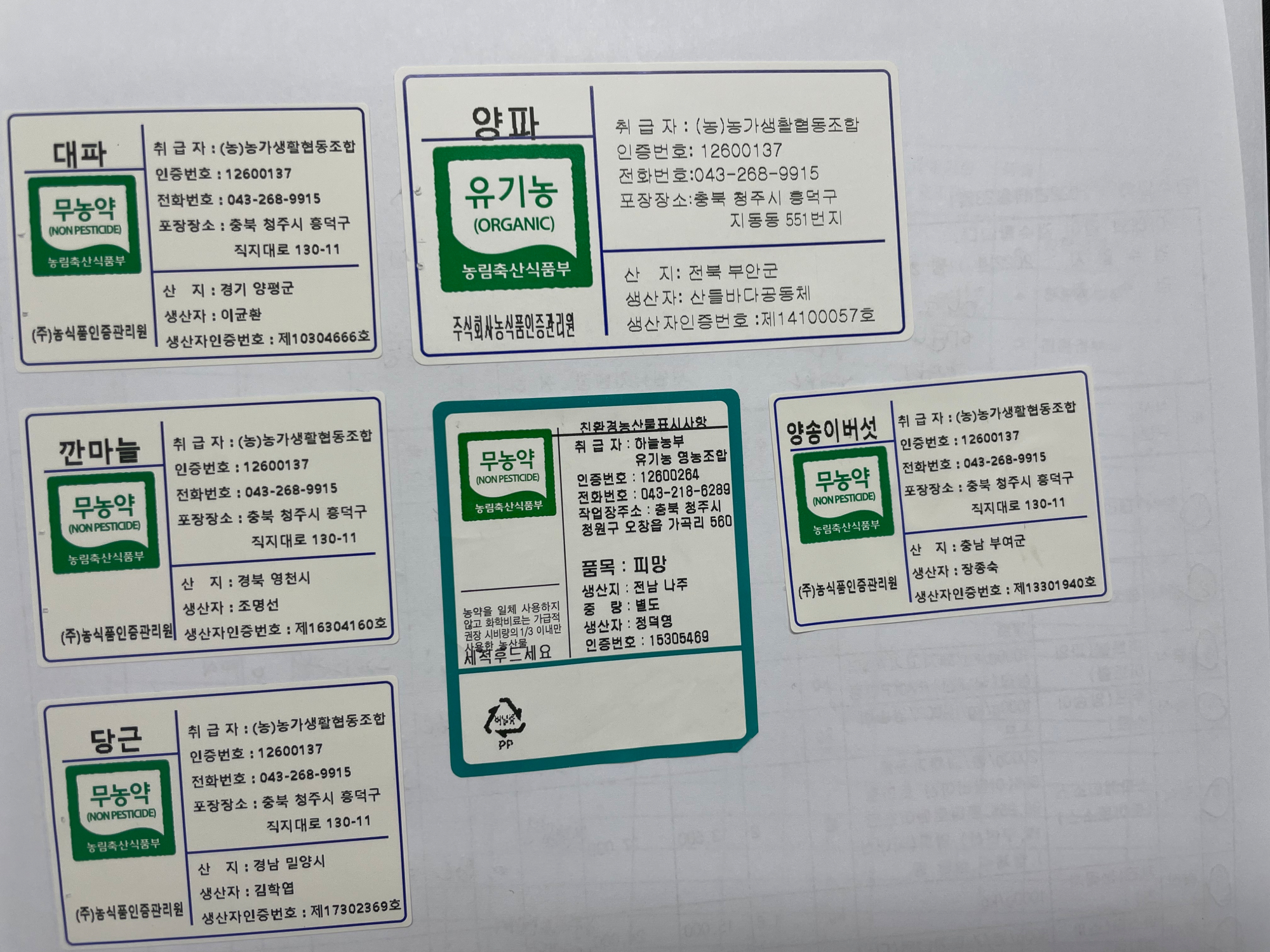 KakaoTalk_20221123_130849759_01