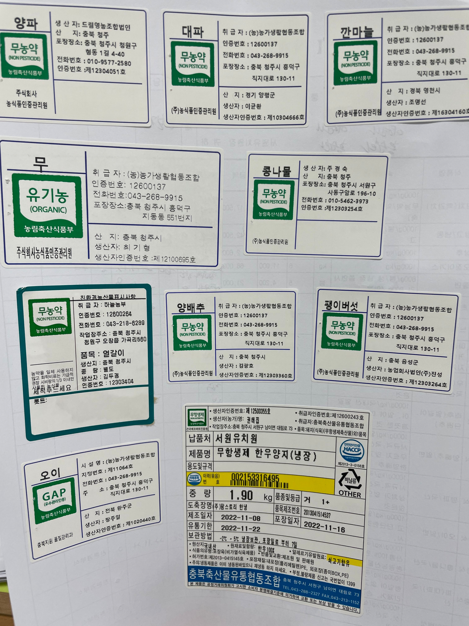 KakaoTalk_20221117_131825691_01