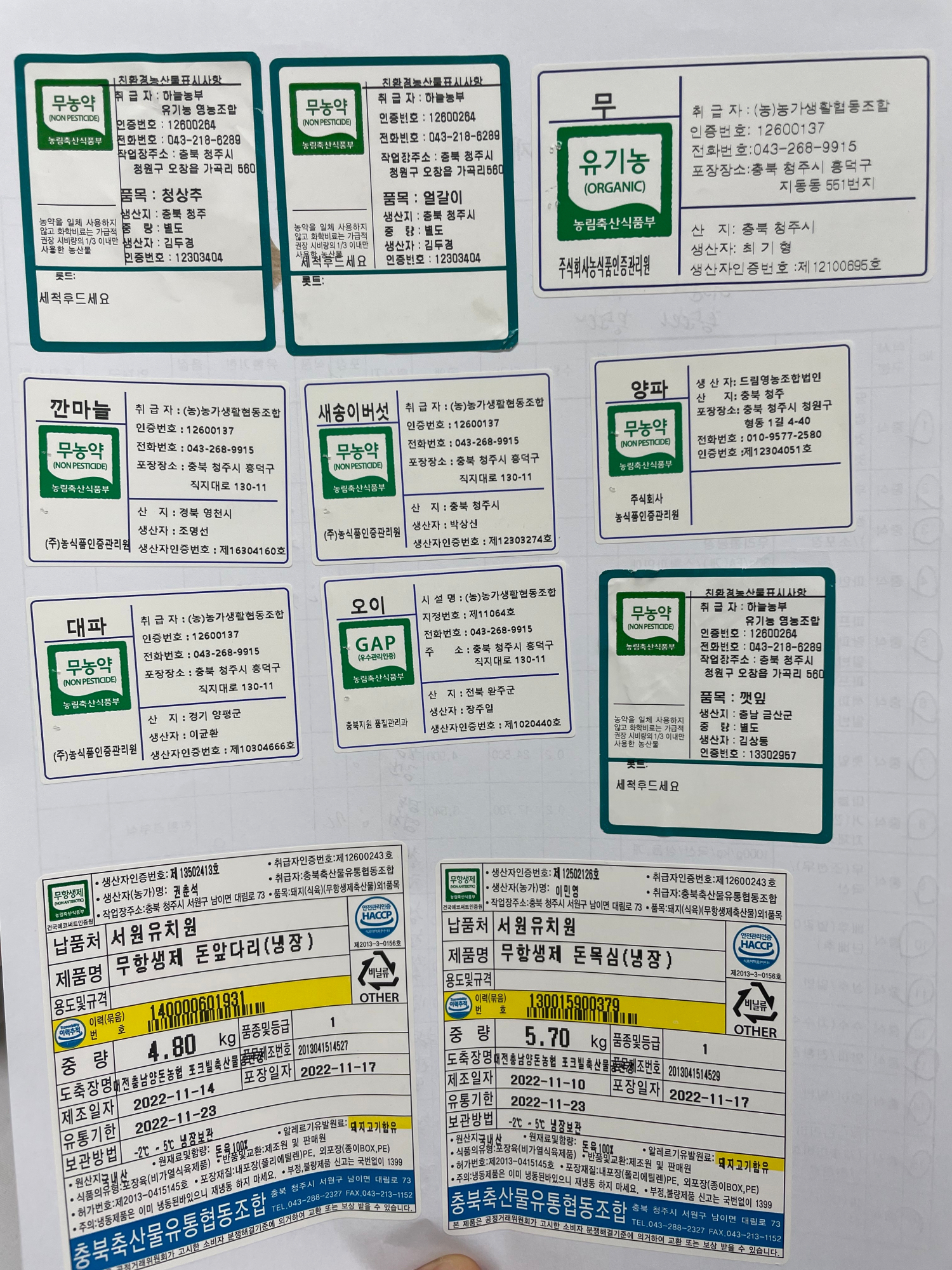 KakaoTalk_20221118_110442376_02