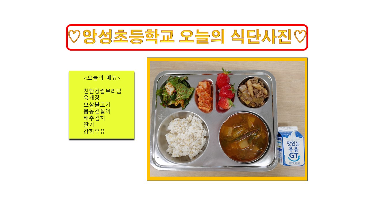 식단사진