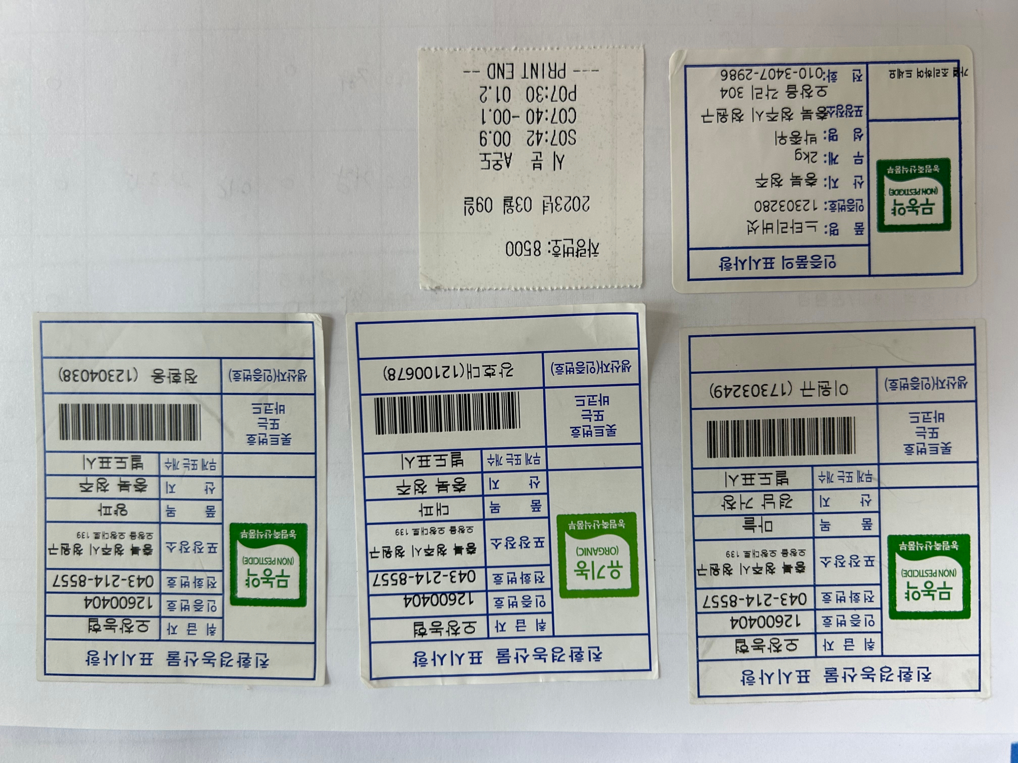 KakaoTalk_20230309_111215979
