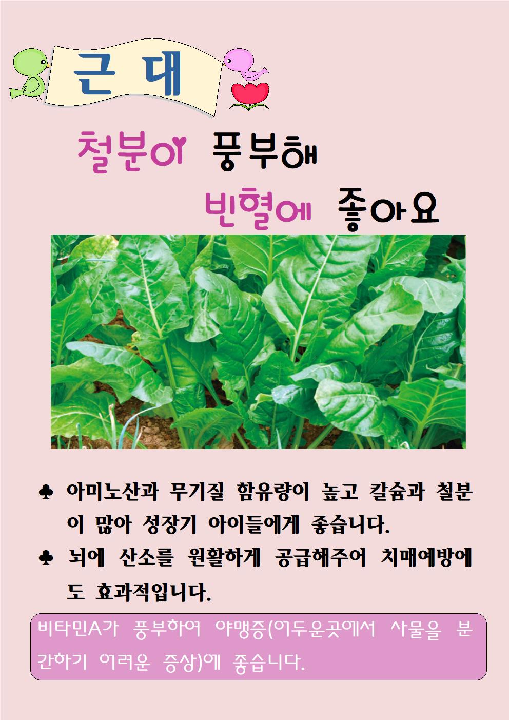 근대(4. 13)
