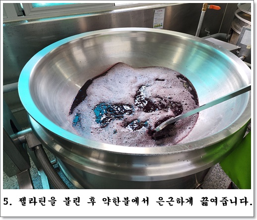 포도5
