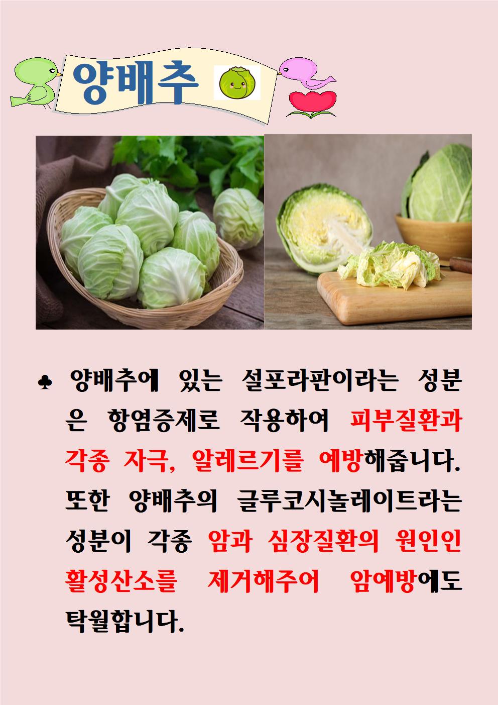 양배추(4.27)001