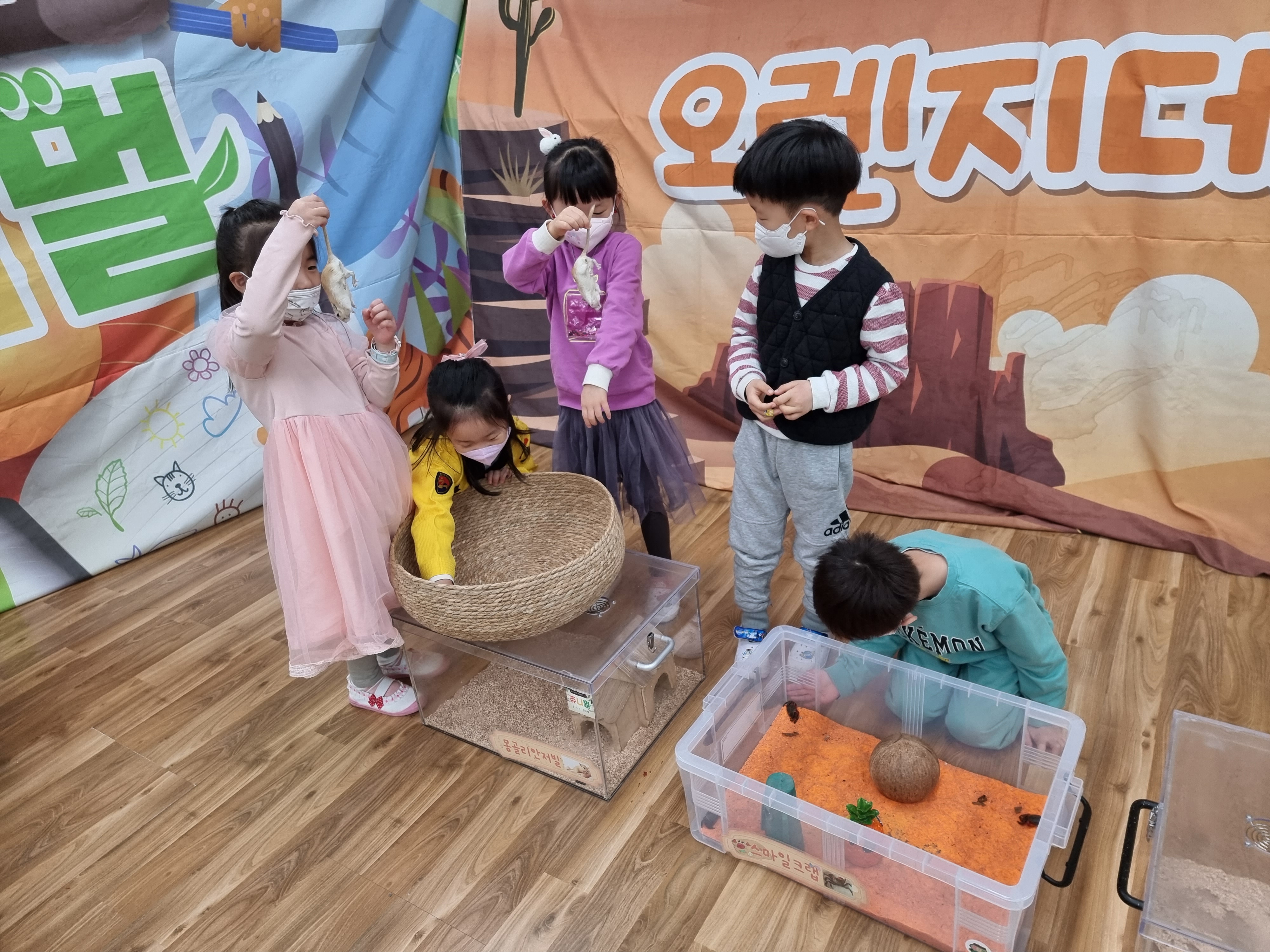 해님반 쥬니멀  (3).jpg