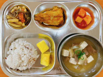 KakaoTalk_20230407_104533047.jpg
