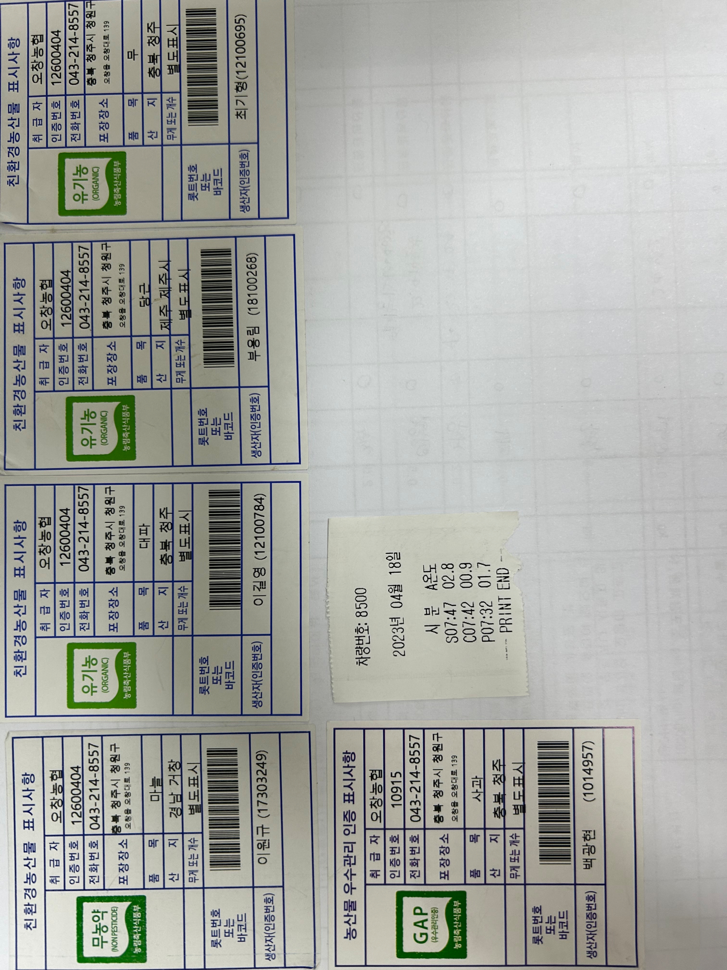 KakaoTalk_20230418_130110631_02