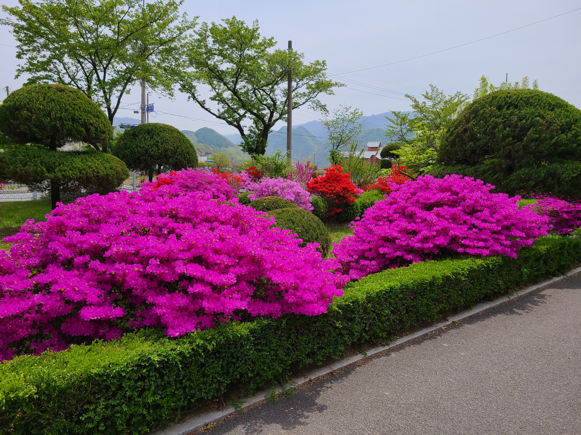 영춘중학교