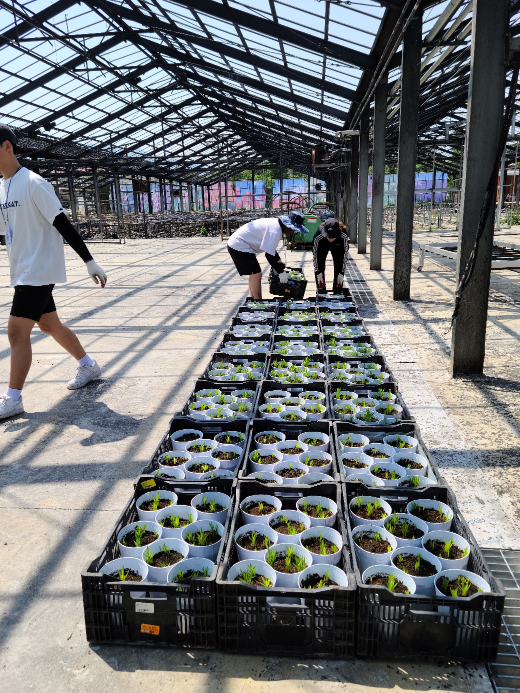 KakaoTalk_20230517_101208804_22