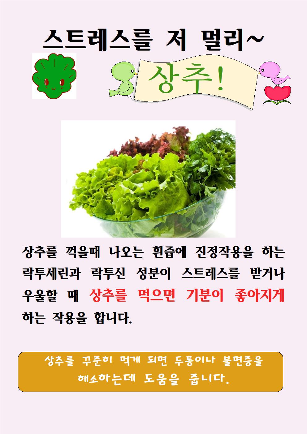 상추(5.22)001