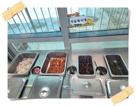 5월 8일 자율배식대