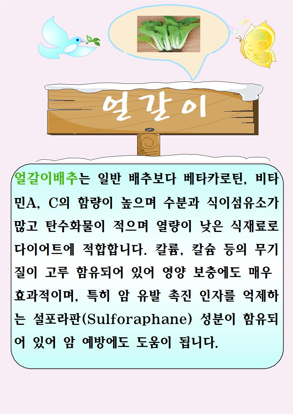 얼갈이(5.11)001