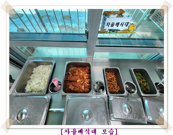 자율배식대3