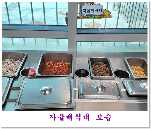 5월 12일 자율배식대